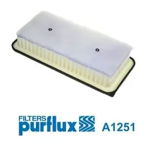PURFLUX A1251