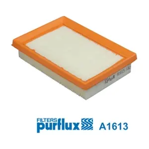 PURFLUX A1613