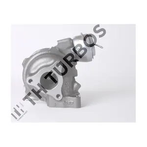 2101171 TURBOS HOET