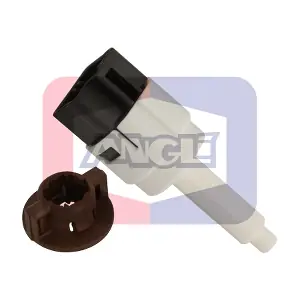 40075 ANGLI