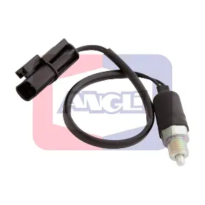 9219 ANGLI