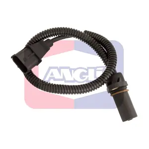 17204 ANGLI