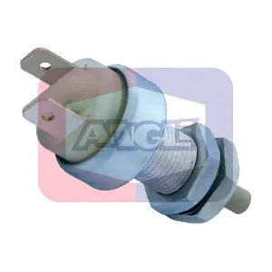 ANGLI 463