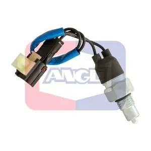 9293 ANGLI
