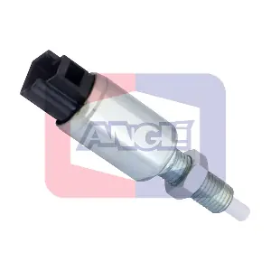 40099 ANGLI