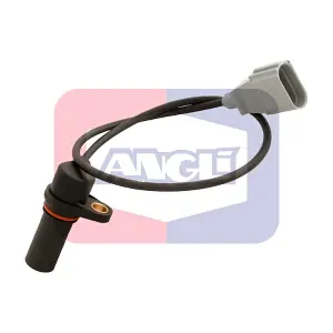 ANGLI 17175