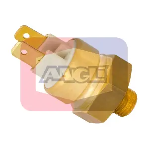17507 ANGLI