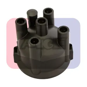 ANGLI 2319