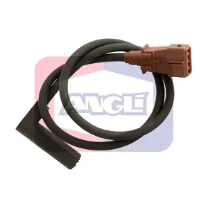 17286 ANGLI