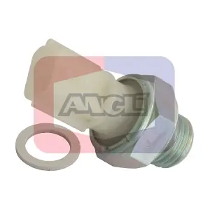 1487 ANGLI