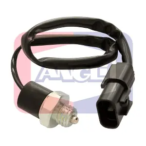 9279 ANGLI