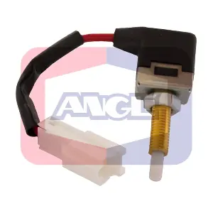 40028 ANGLI