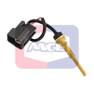 180014 ANGLI