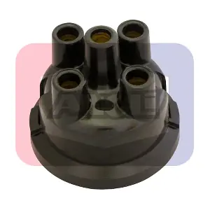 2500 ANGLI