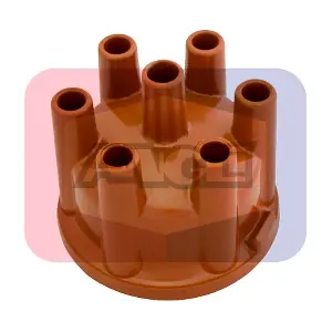 2248-P ANGLI