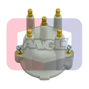 2032P ANGLI
