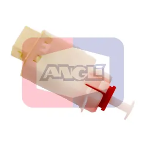 ANGLI 419
