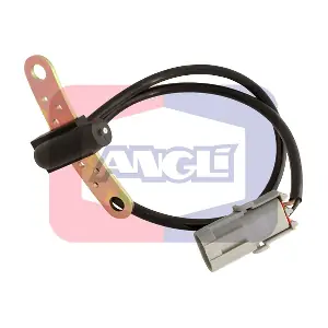 ANGLI 17011