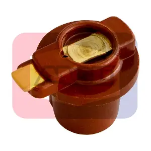 3043 ANGLI