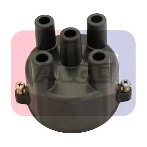 2415P ANGLI