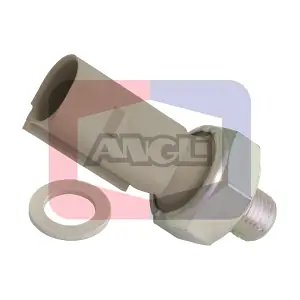 1417 ANGLI