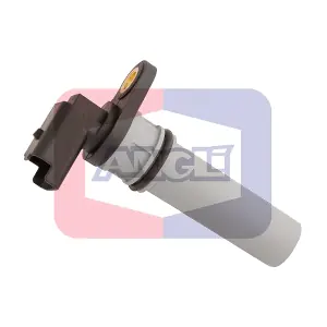 17231 ANGLI