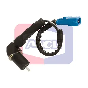 17006 ANGLI