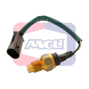 1729 ANGLI