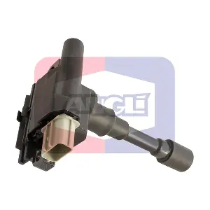 ANGLI 15 339