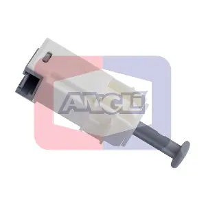 40093 ANGLI