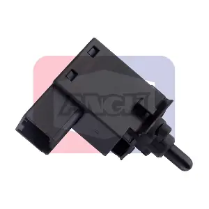 40095 ANGLI