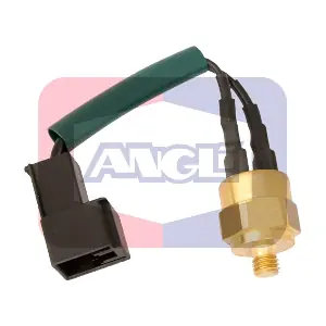 17512 ANGLI