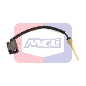 180042 ANGLI