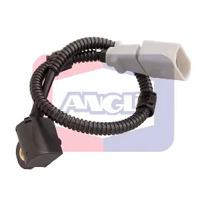 17324 ANGLI