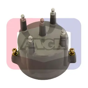 2410-P ANGLI