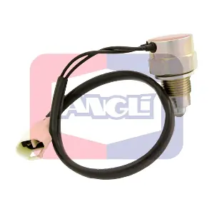 9248 ANGLI