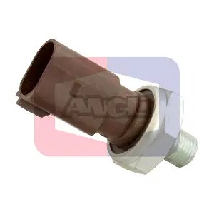 ANGLI 140037