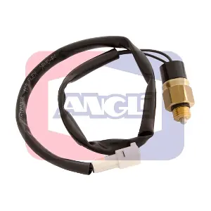 9229 ANGLI