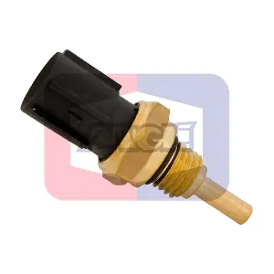 1567 ANGLI