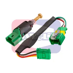 ANGLI 40101