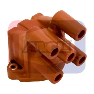 2247-P ANGLI