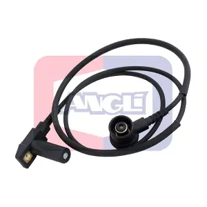 17351 ANGLI