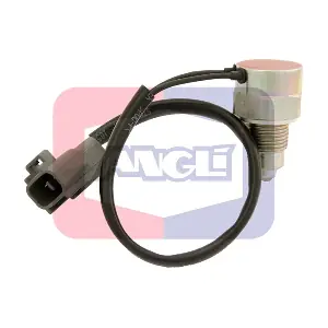 9249 ANGLI