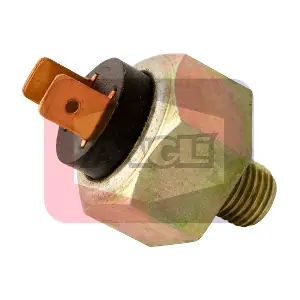 496 ANGLI