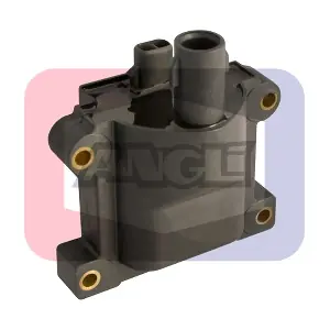 15509 ANGLI