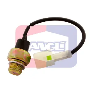 1438 ANGLI