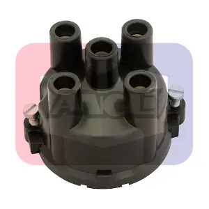 2411-P ANGLI