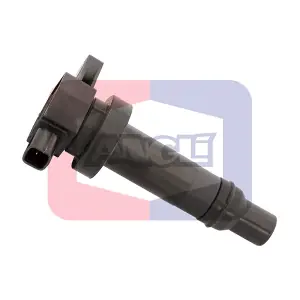 15355 ANGLI