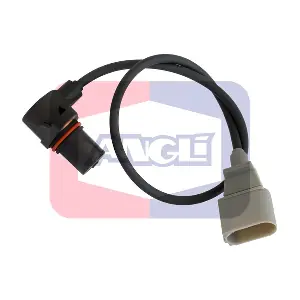 17135 ANGLI