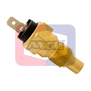 1594 ANGLI